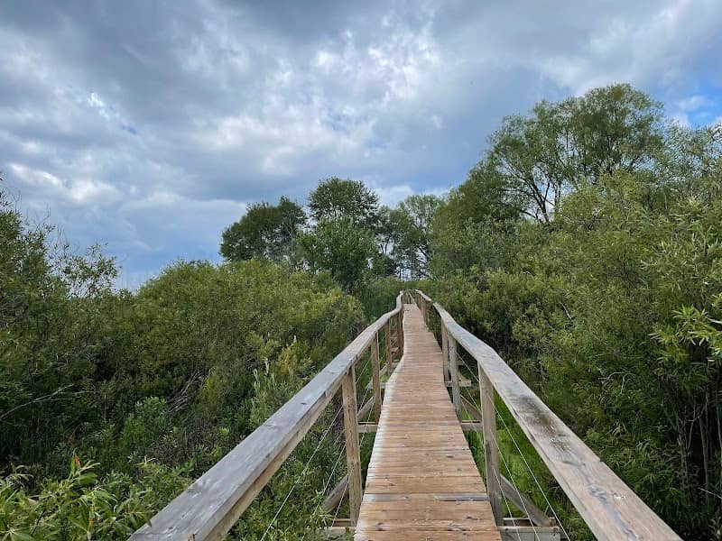 Duncan Bay Nature Preserve - Image 1