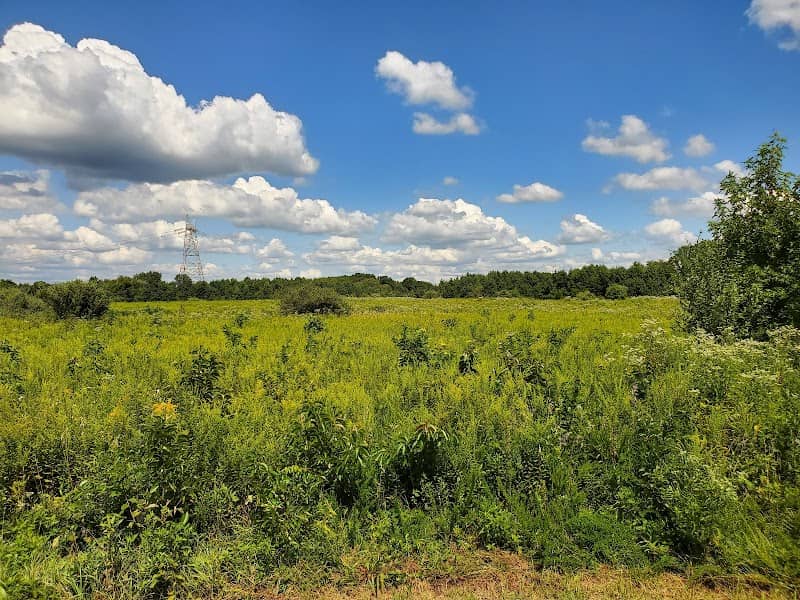 Supawna Meadows National Wildlife Refuge Observation Point - Image 1