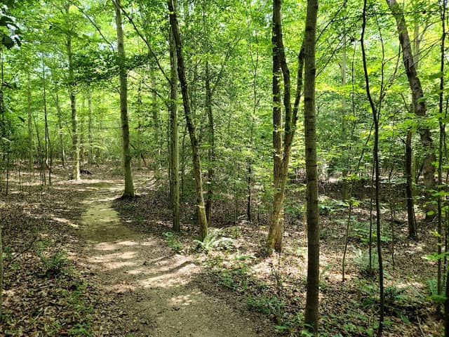 Chaptico Park - Image 2