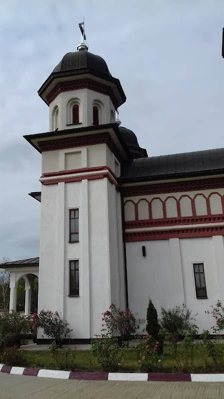 Parcul Brânceni - Image 1