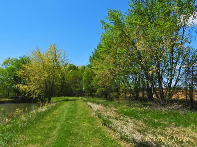 Hagenson Pond - Image 1