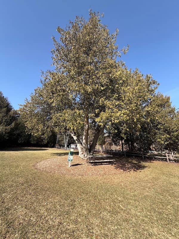 Schoolhouse Park - Image 2