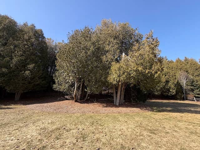 Schoolhouse Park - Image 1