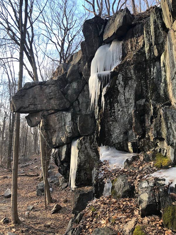 Ward Pound Ridge Reservation - Image 3