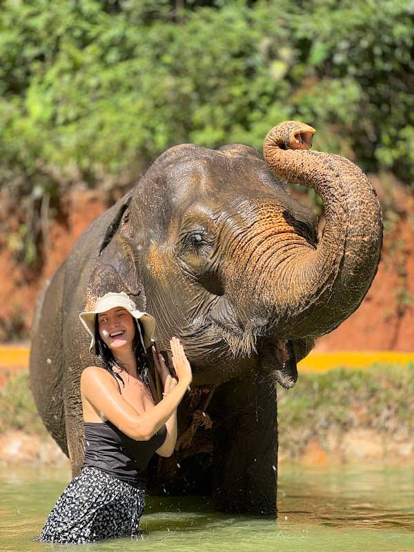 Phuket Elephant Care @ Loch Palm - Image 1