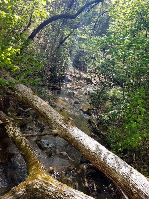 Fairfield Glade North Hikes - Image 1