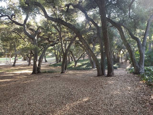 Crescenta Valley Community Regional Park - Image 2