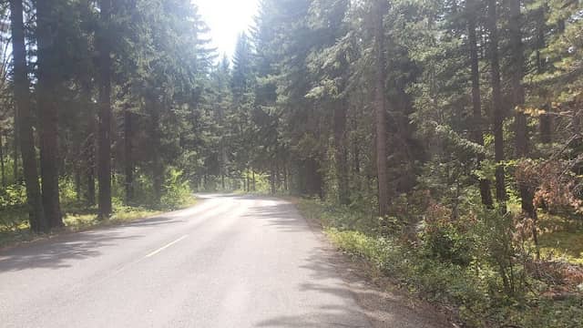 Palouse to Cascades State Park - Image 3
