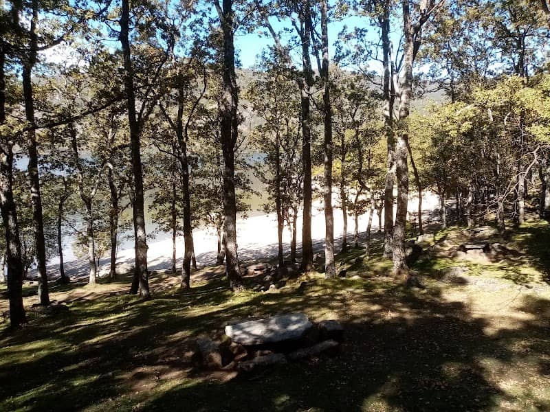 Zona de picnic de playa Viquiella - Image 1