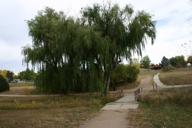 Carbone Park - Image 2