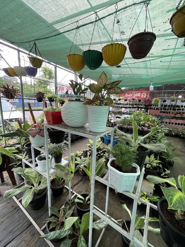 DREAM GARDENS - Nilambur - Image 2