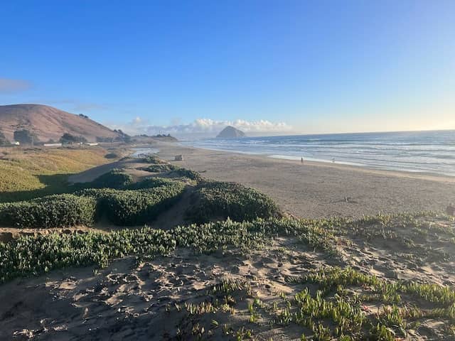 Morro Bay Dog Beach - Image 2