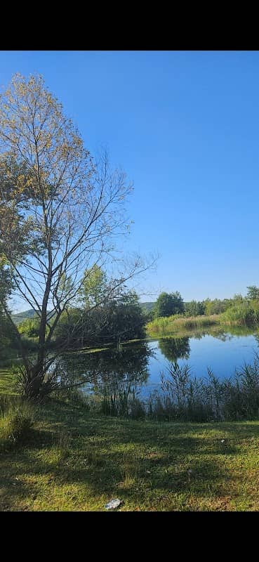 Lac Filatura - Image 1