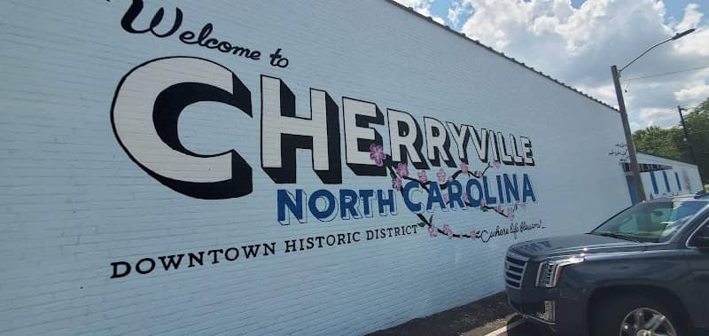 Welcome to Cherryville Mural - Image 3