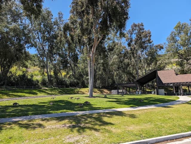 Laguna Niguel Regional Park - Image 3