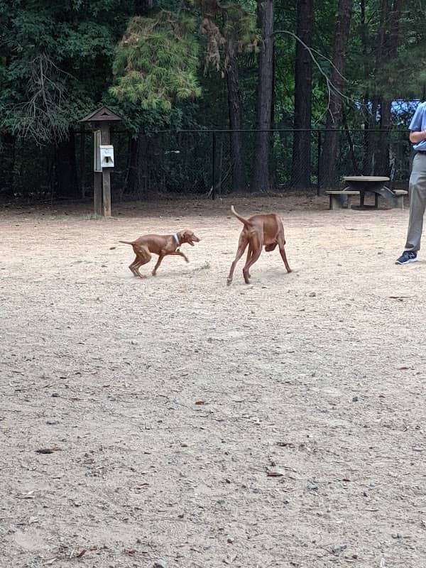 K9 Park At Ramsey Creek - Image 2