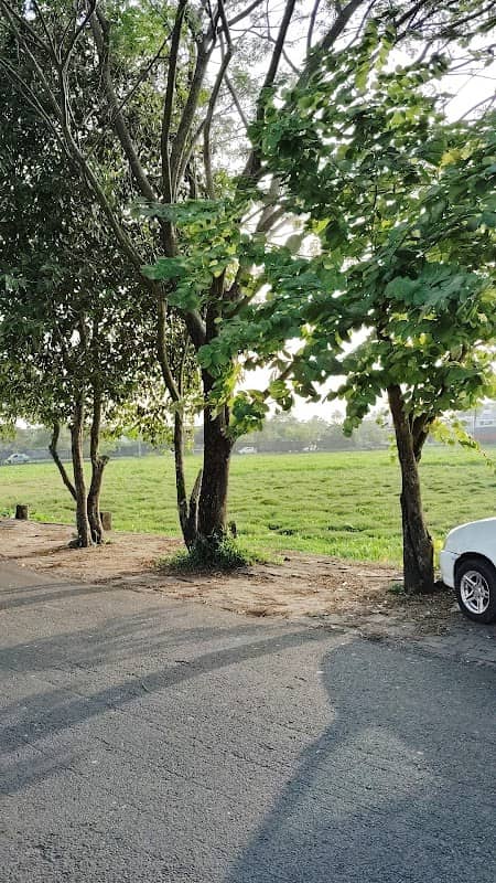 Sadak Road Park Area - Image 1