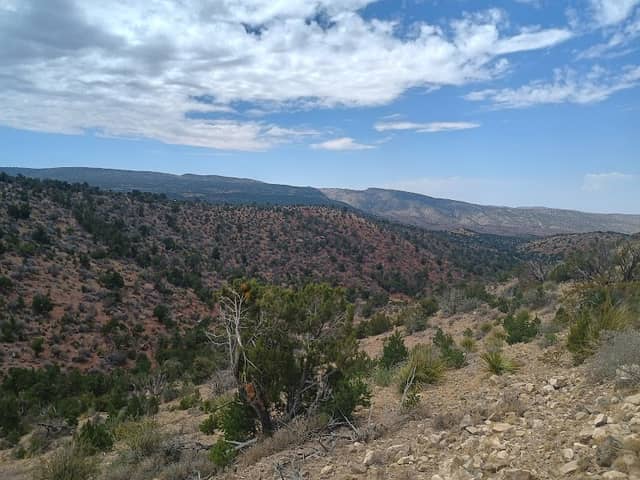 Lincoln National Forest Alternate OHV Staging - Image 2