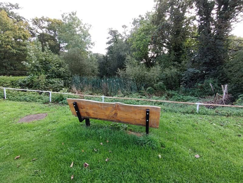 Twyford Pond - Image 1