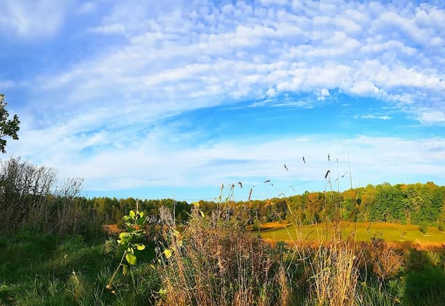 Royal Oaks Park - Image 2