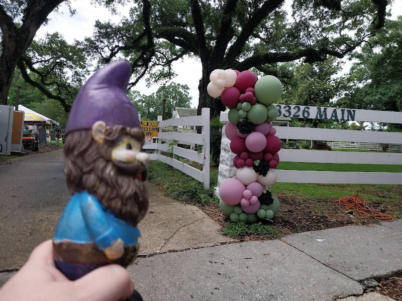 Houma Blackberry Festival - Image 3