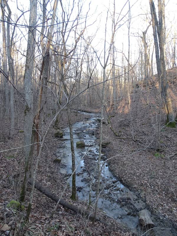 Eagle’s Aerie Trail - Image 1