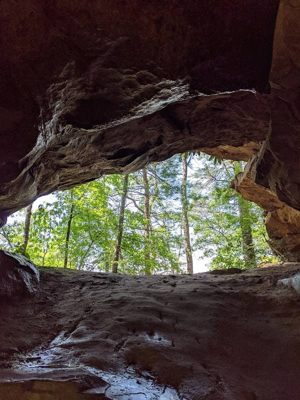 Whistling Arch - Image 2