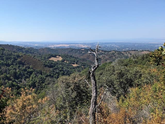 Upper High Meadow Vista Point - Image 2