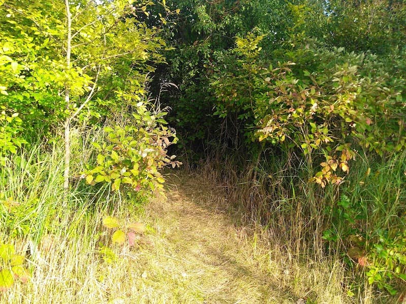 Fox Run Park - Image 2