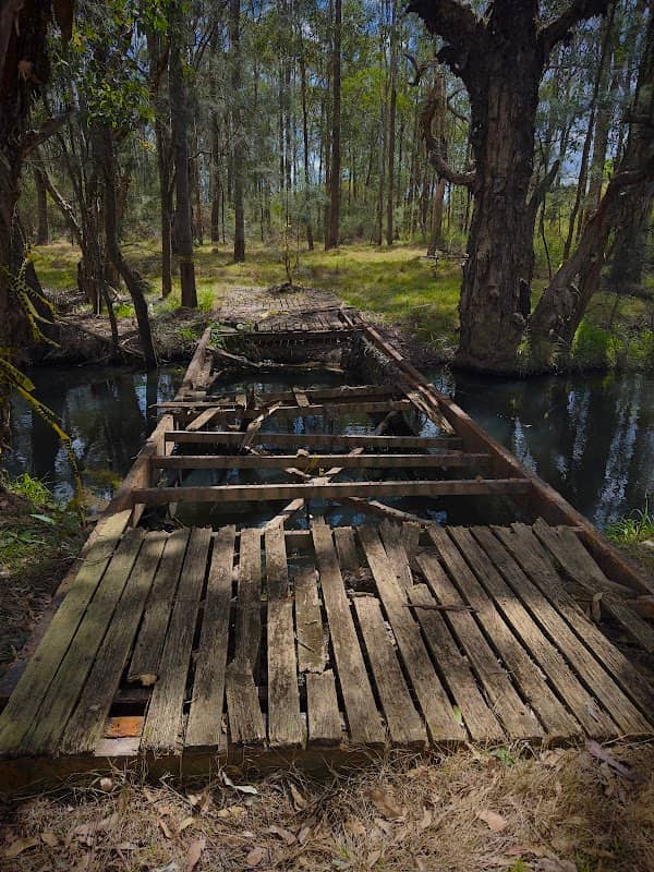 The Forgotten Bridge - Image 3