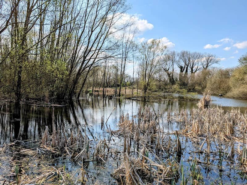 Unstead Wetland Nature Reserve - Image 2