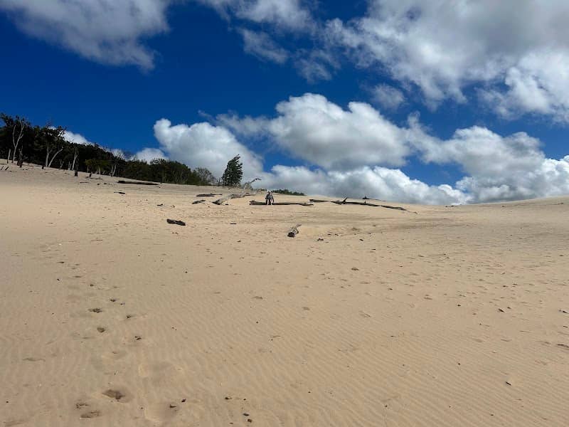 Warren Dunes - Image 1