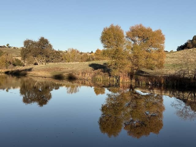 Coyote Pond Park - Image 1