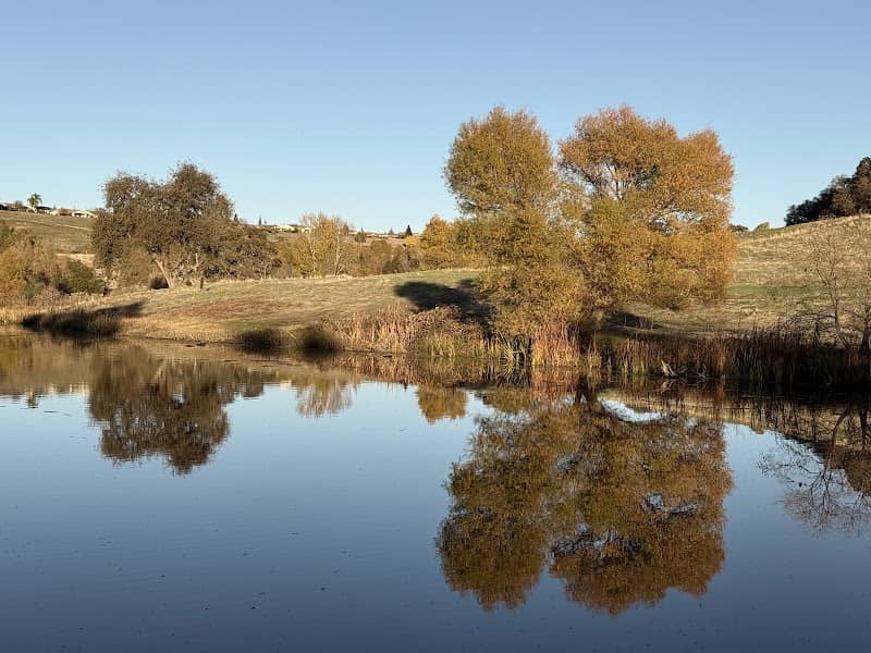 Coyote Pond Park - Image 1