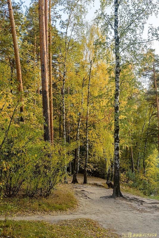 Syzranskiy Park - Image 1