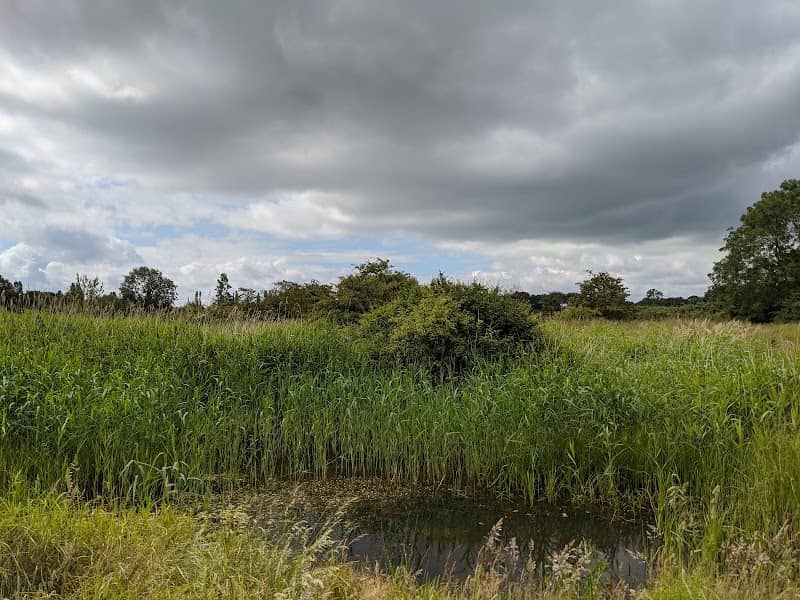 Barling Magna Wildlife Reserve - Image 2