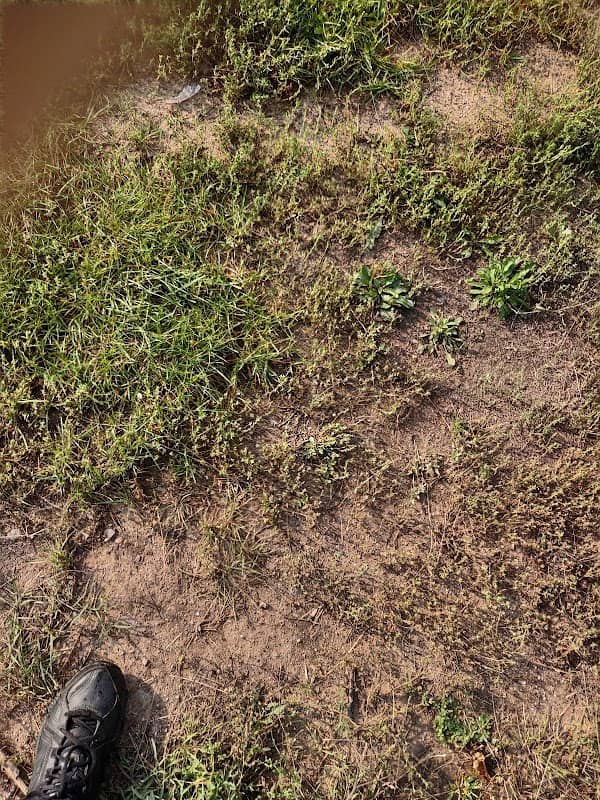 Bentley Hills ATV Park - Image 2