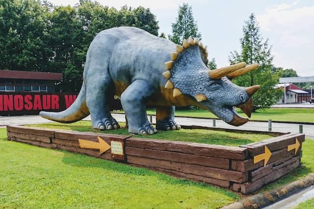 Dinosaur World - Image 2