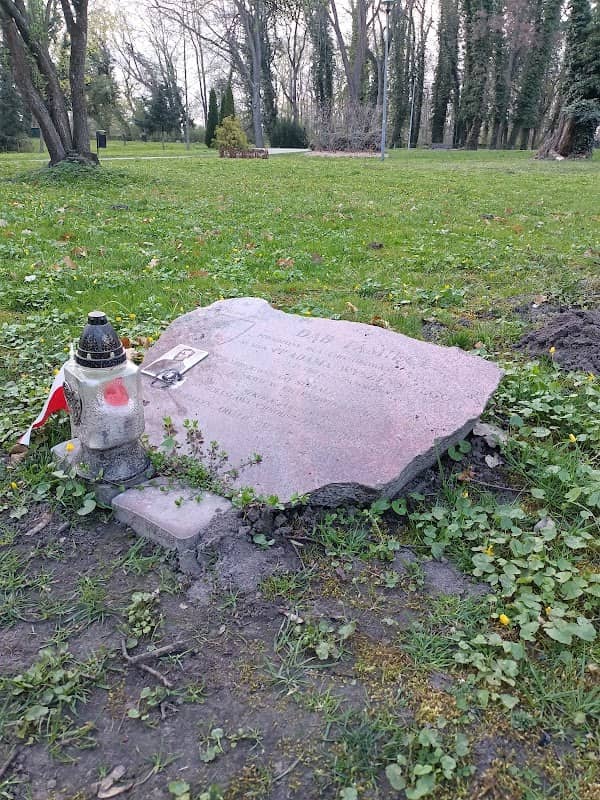 Dąb pamięci - Image 1