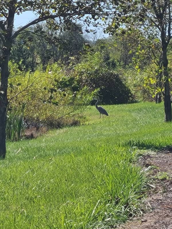 Toyota Kentucky Biodiversity Trail - Image 1
