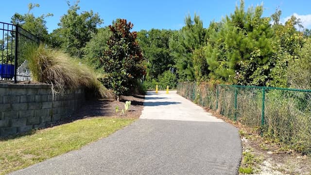 Woodland Path - Image 1