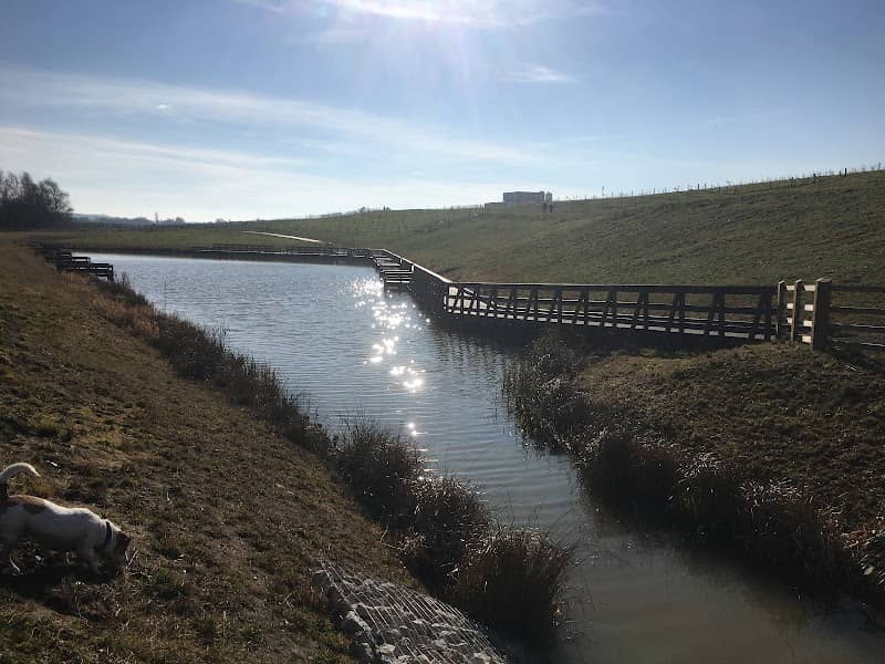 The Avenue Country Park - Image 1