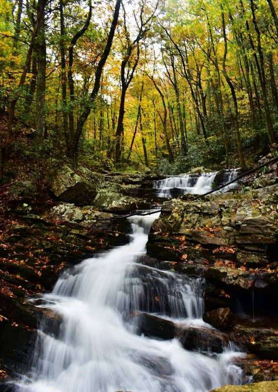 Gee Creek Trail - Image 1