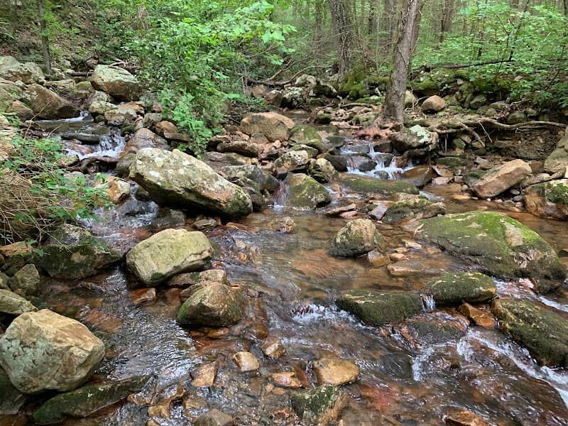 Gee Creek Trail - Image 1