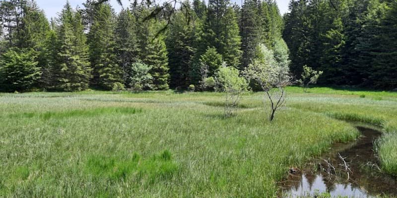 Lago Agoraie di Fondo - Image 2