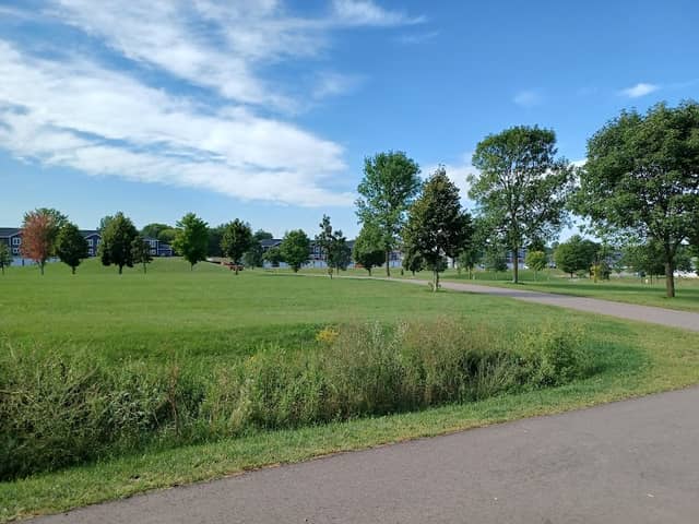 DeSanctis Park - Image 1