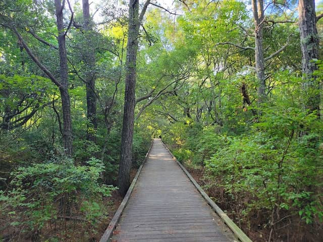 Currituck Banks Reserve - Image 2