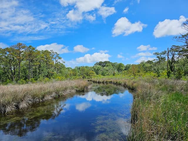 Currituck Banks Reserve - Image 1