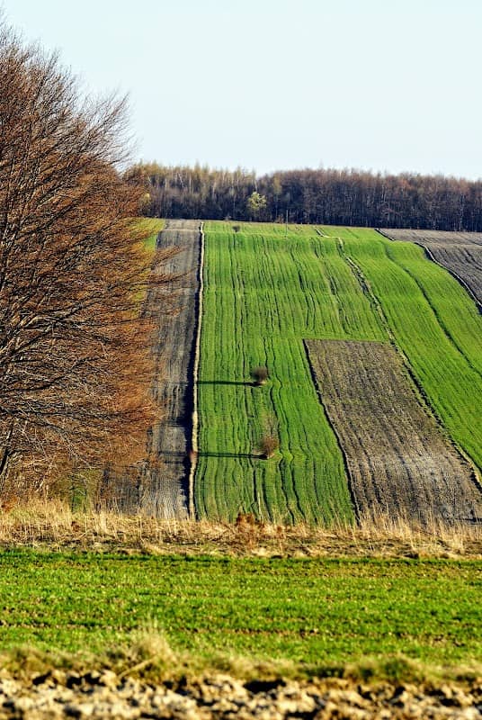Majdan i okolice - Image 1