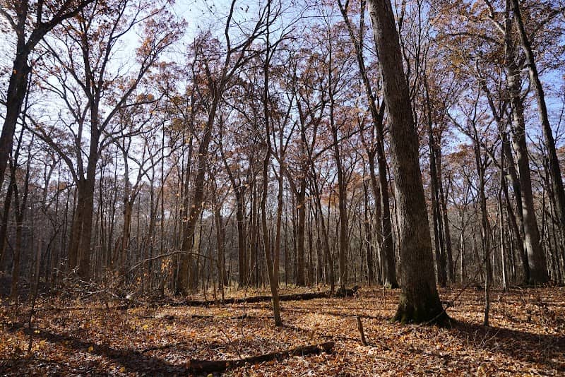 Spitler Woods State Natural Area - Image 2